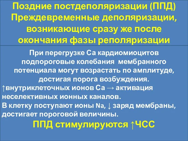 Поздние постдеполяризации (ППД) Преждевременные деполяризации, возникающие сразу же после окончания фазы реполяризации