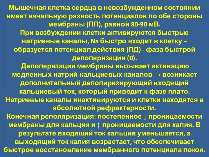 Мышечная клетка сердца в невозбужденном состоянии имеет начальную разность потенциалов по обе