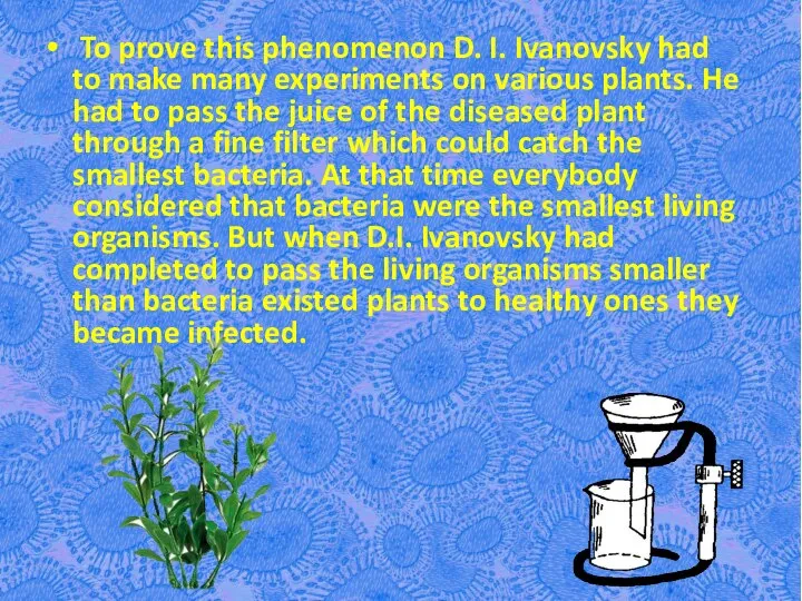 To prove this phenomenon D. I. Ivanovsky had to make many experiments