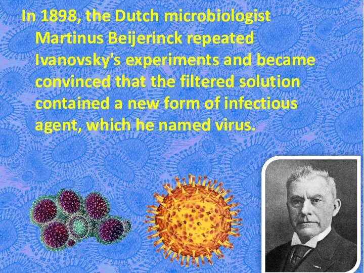 In 1898, the Dutch microbiologist Martinus Beijerinck repeated Ivanovsky's experiments and became