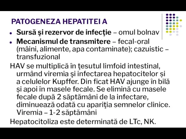 PATOGENEZA HEPATITEI A Sursă şi rezervor de infecţie – omul bolnav Mecanismul