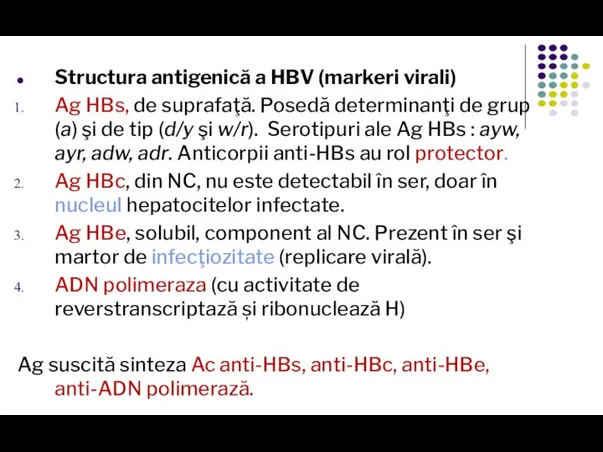 Structura antigenică a HBV (markeri virali) Ag HBs, de suprafaţă. Posedă determinanţi