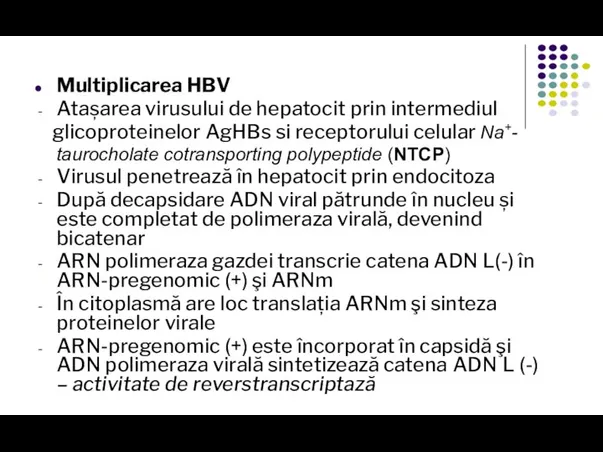 Multiplicarea HBV Atașarea virusului de hepatocit prin intermediul glicoproteinelor AgHBs si receptorului