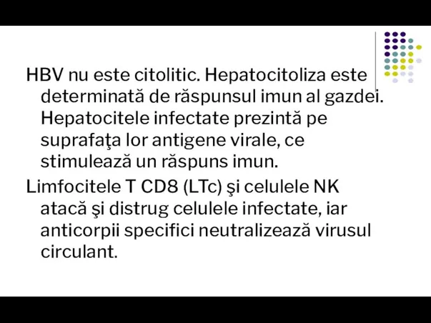 HBV nu este citolitic. Hepatocitoliza este determinată de răspunsul imun al gazdei.