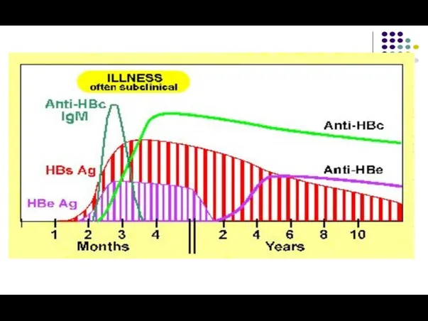 Serology of the chronic carrier