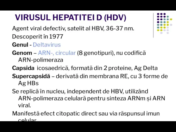 VIRUSUL HEPATITEI D (HDV) Agent viral defectiv, satelit al HBV, 36-37 nm.