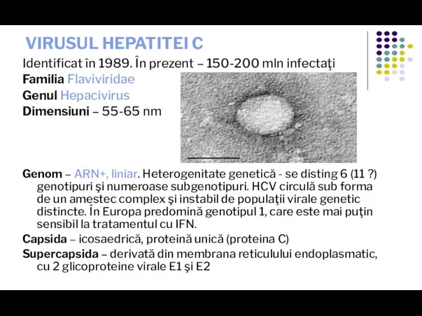 VIRUSUL HEPATITEI C Identificat în 1989. În prezent – 150-200 mln infectaţi