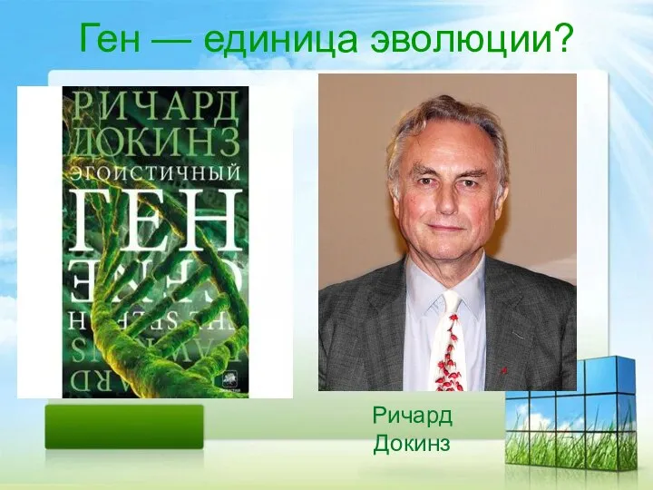 Ген — единица эволюции? Ричард Докинз