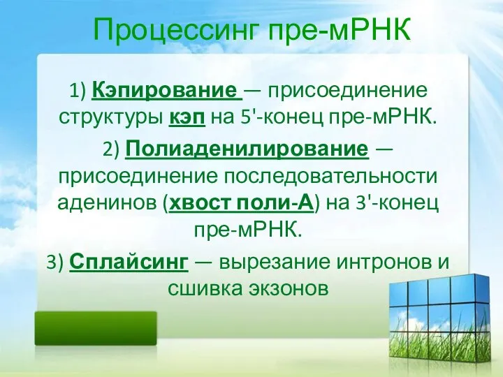 Процессинг пре-мРНК 1) Кэпирование — присоединение структуры кэп на 5'-конец пре-мРНК. 2)