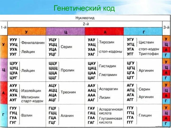 Генетический код