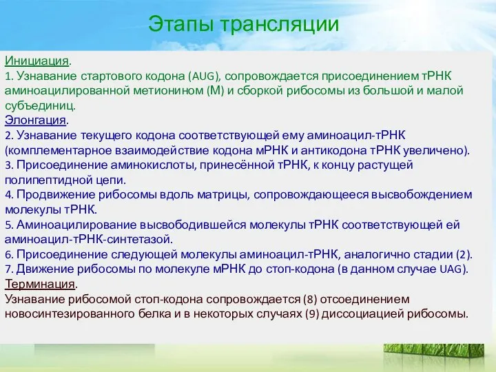 Этапы трансляции Инициация. 1. Узнавание стартового кодона (AUG), сопровождается присоединением тРНК аминоацилированной