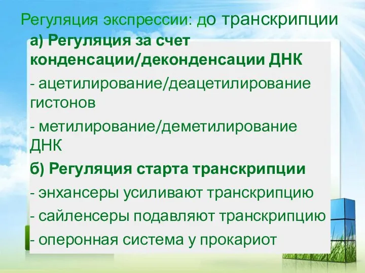 Регуляция экспрессии: до транскрипции а) Регуляция за счет конденсации/деконденсации ДНК - ацетилирование/деацетилирование