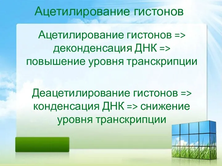 Ацетилирование гистонов Ацетилирование гистонов => деконденсация ДНК => повышение уровня транскрипции Деацетилирование