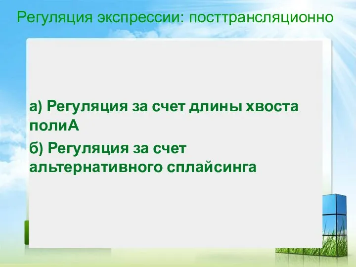 Регуляция экспрессии: посттрансляционно а) Регуляция за счет длины хвоста полиА б) Регуляция за счет альтернативного сплайсинга