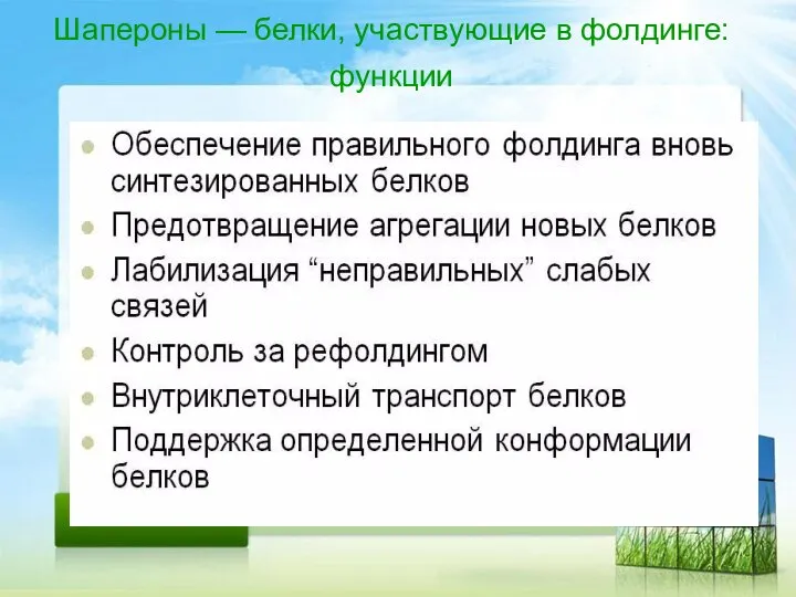 Шапероны — белки, участвующие в фолдинге: функции