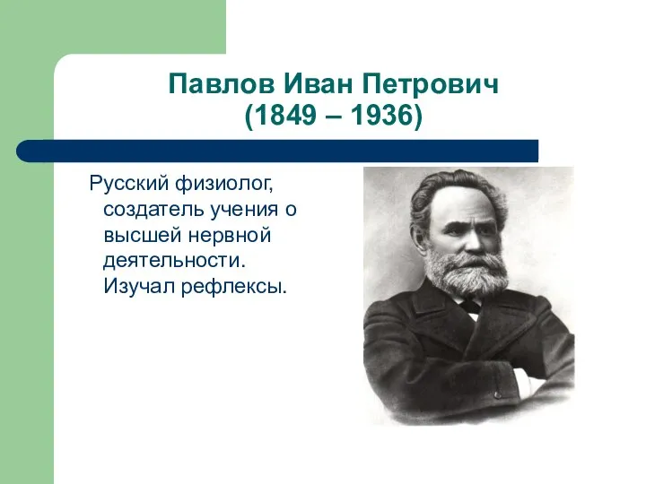 Павлов Иван Петрович (1849 – 1936) Русский физиолог, создатель учения о высшей нервной деятельности. Изучал рефлексы.