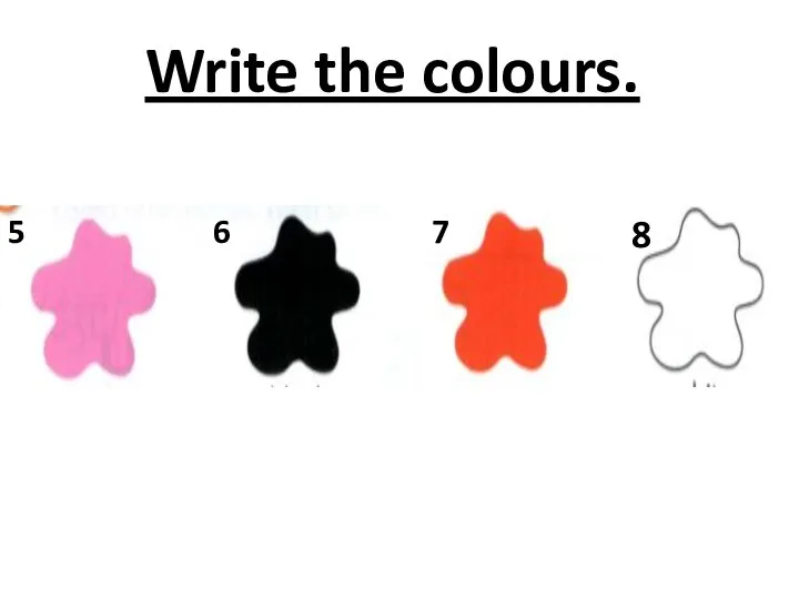 5 6 7 8 Write the colours.
