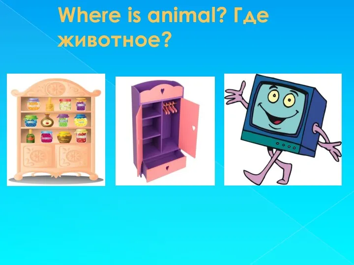 Where is animal? Где животное?