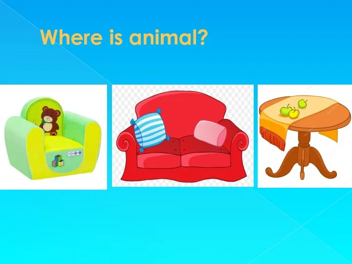 Where is animal?