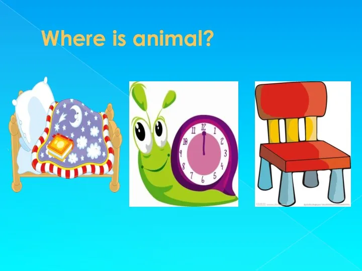 Where is animal?