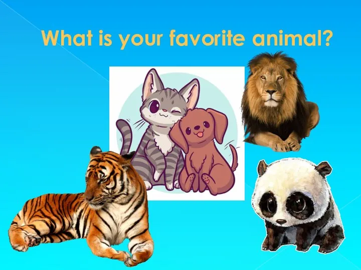 What is your favorite animal?