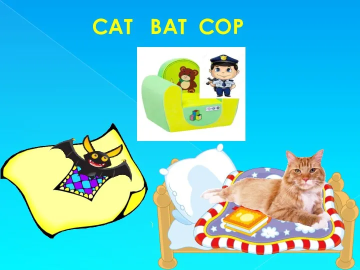 CAT BAT COP