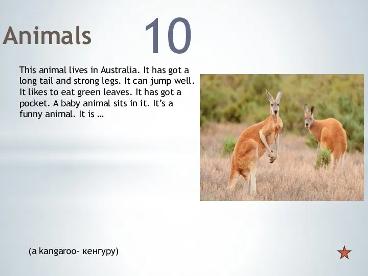 Animals 10 This animal lives in Australia. It has got a long