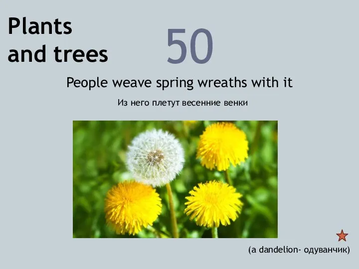 Plants and trees 50 People weave spring wreaths with it Из него