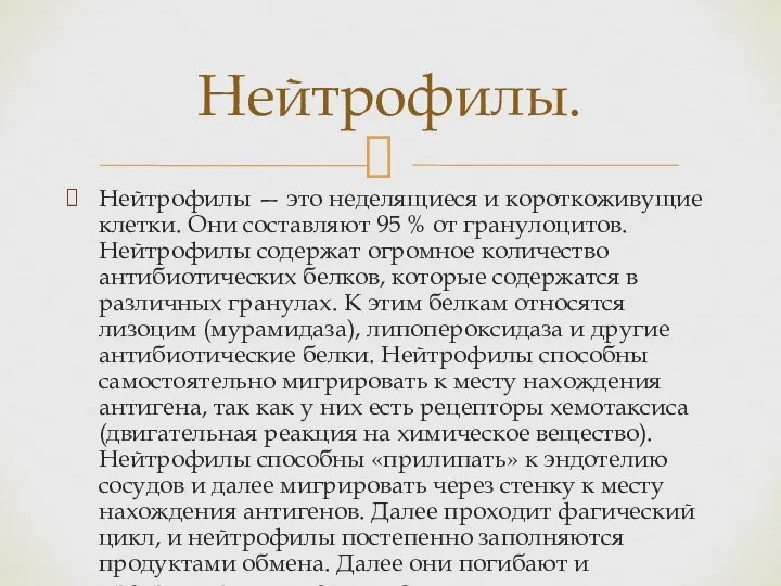 Нейтрофилы — это неделящиеся и короткоживущие клетки. Они составляют 95 % от