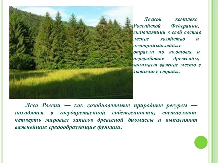 Лесной комплекс Российской Федерации, включающий в свой состав лесное хозяйство и лесопромышленные