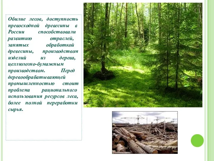 Обилие лесов, доступность превосходной древесины в России способствовали развитию отраслей, занятых обработкой