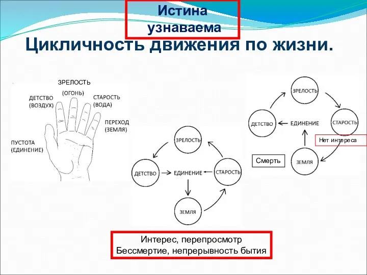 Цикличность движения по жизни. ЗРЕЛОСТЬ Нет интереса Смерть Интерес, перепросмотр Бессмертие, непрерывность бытия Истина узнаваема