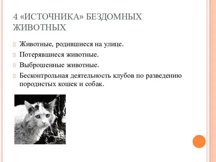 4 «ИСТОЧНИКА» БЕЗДОМНЫХ ЖИВОТНЫХ Животные, родившиеся на улице. Потерявшиеся животные. Выброшенные животные.