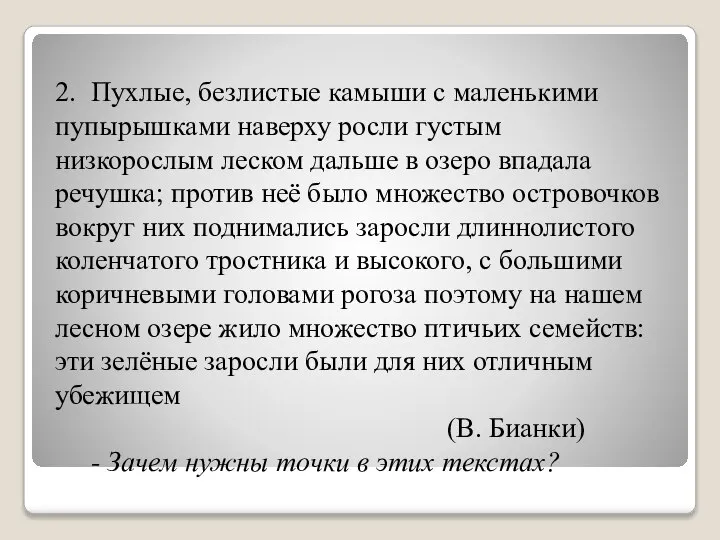 2. Пухлые, безлистые камыши с маленькими пупырышками наверху росли густым низкорослым леском