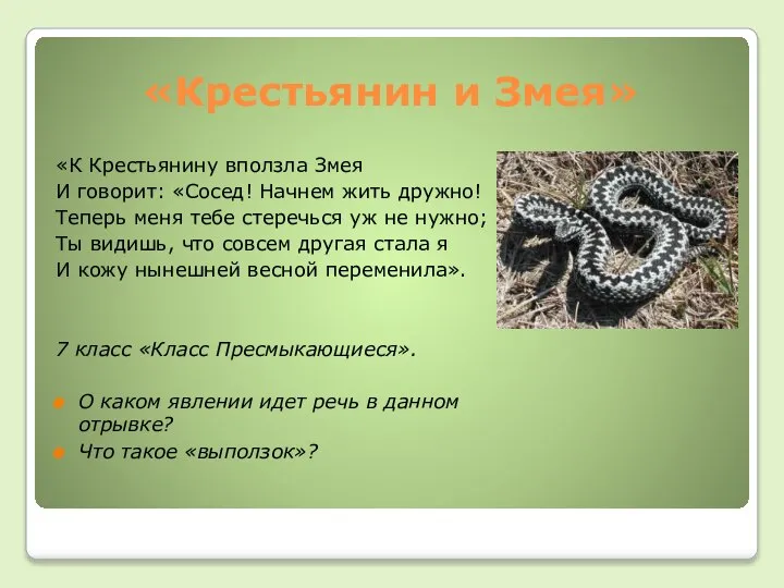 «Крестьянин и Змея» «К Крестьянину вползла Змея И говорит: «Сосед! Начнем жить