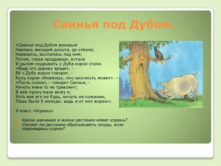 Свинья под Дубом. «Свинья под Дубом вековым Наелась желудей досыта, до отвала;