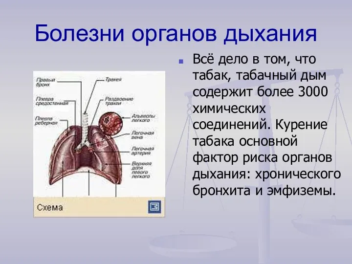 Болезни органов дыхания Всё дело в том, что табак, табачный дым содержит