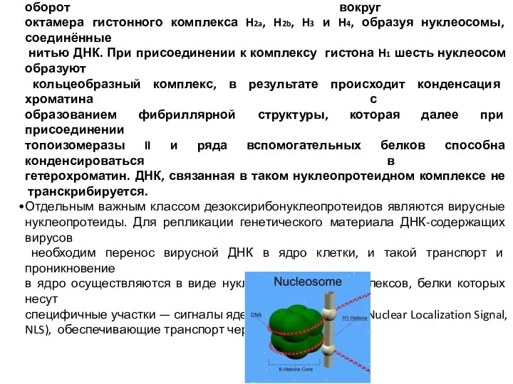 Дезоксирибонуклеопротеиды. Хроматин — комплекс ДНК с гистонами в клетках эукариот. За счёт