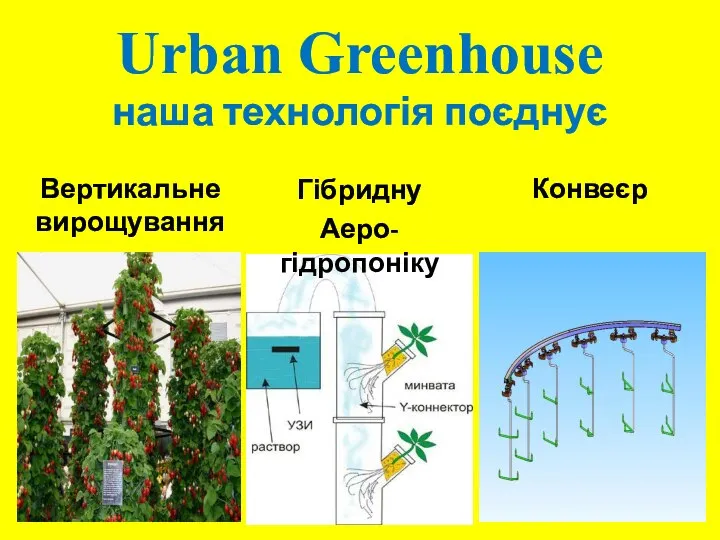 Urban Greenhouse наша технологія поєднує Вертикальне вирощування Конвеєр Гібридну Аеро-гідропоніку