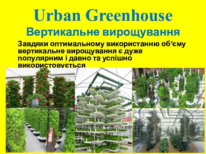 Urban Greenhouse Вертикальне вирощування Завдяки оптимальному використанню об‘єму вертикальне вирощування є дуже