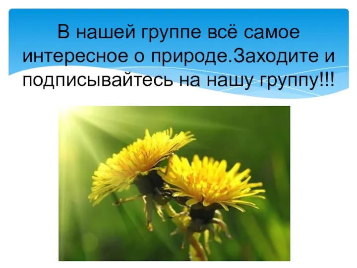 В нашей группе всё самое интересное о природе.Заходите и подписывайтесь на нашу группу!!!