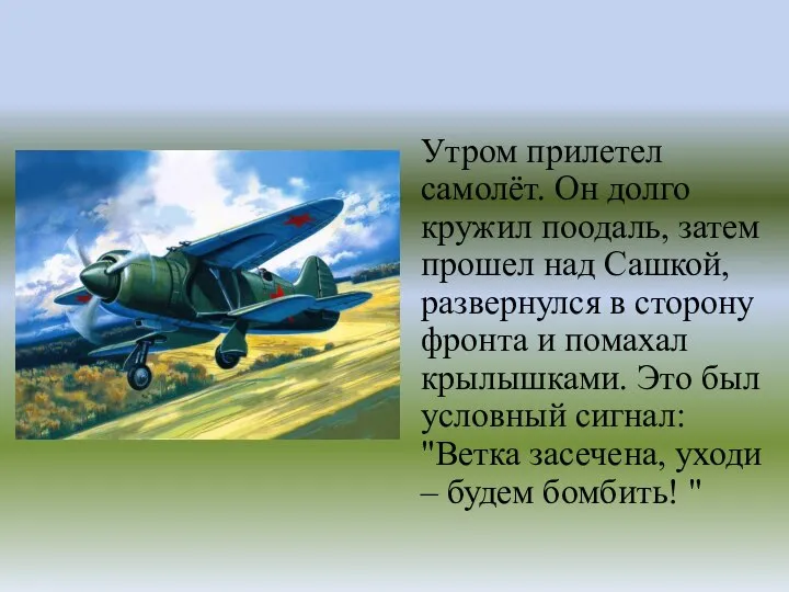 Утром прилетел самолёт. Он долго кружил поодаль, затем прошел над Сашкой, развернулся