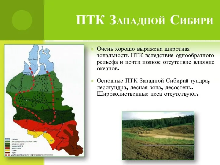 ПТК Западной Сибири Очень хорошо выражена широтная зональность ПТК вследствие однообразного рельефа