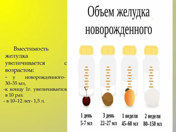 Вместимость желудка увеличивается с возрастом: - у новорожденного- 30–35 мл, к концу