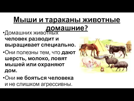 Мыши и тараканы животные домашние? Домашних животных человек разводит и выращивает специально.