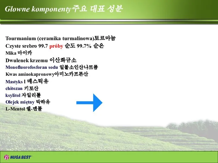 Głowne komponenty주요 대표 성분 Tourmanium (ceramika turmalinowa)토르마늄 Czyste srebro 99.7 próby 순도