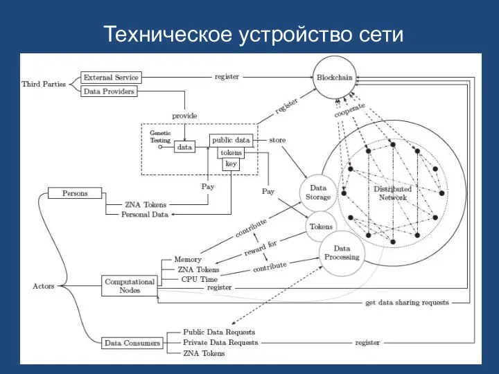 Техническое устройство сети