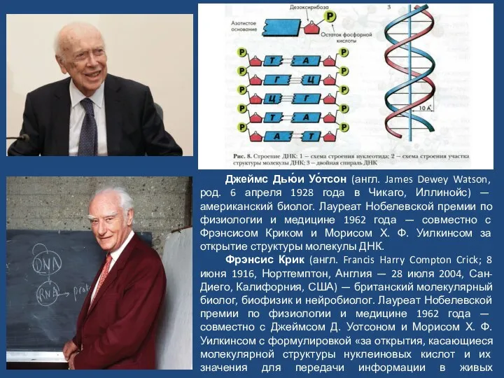 Джеймс Дью́и Уо́тсон (англ. James Dewey Watson, род. 6 апреля 1928 года