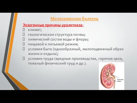 Экзогенные причины уролитиаза: климат; геологическая структура почвы; химический состав воды и флоры;