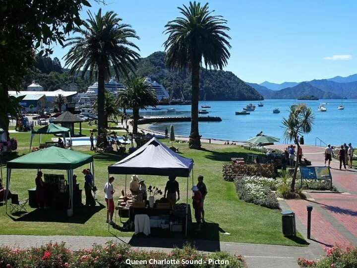 Queen Charlotte Sound - Picton